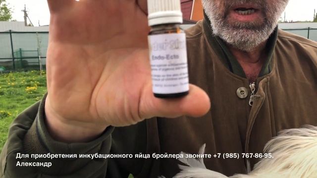 САМЫЙ ПРОСТОЙ СПОСОБ ИЗБАВЛЕНИЯ ОТ КОЖНЫХ ПАРАЗИТОВ У ПТИЦ