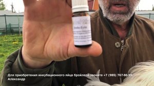 САМЫЙ ПРОСТОЙ СПОСОБ ИЗБАВЛЕНИЯ ОТ КОЖНЫХ ПАРАЗИТОВ У ПТИЦ