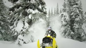 2015 Ski-Doo Summit X 800 T3 174