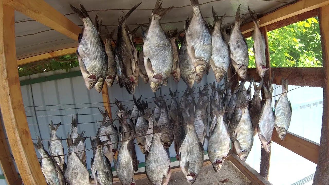 Как солить и вялить Леща Астраханский старый рецепт!!!