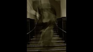 [Виды ПРИВИДЕНИЙ] Пугающие мистические истории. Выпуск #55