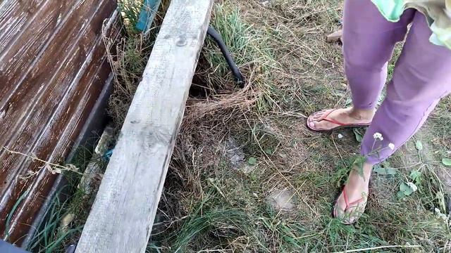 Как кот Макс уговорил нас починить его любимую скамейку 😻 сентябрь 2023 смотреть онлайн