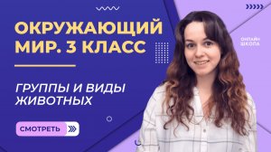 Группы и виды животных. Видеоурок 13.Окружающий мир 3 класс