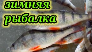 Наловил Окуня на Бриллиантовую мормышку ?Зимняя Рыбалка
