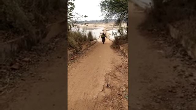 Trinx q550 cycle vs btwin riverside 100 climbing test смотреть онлайн