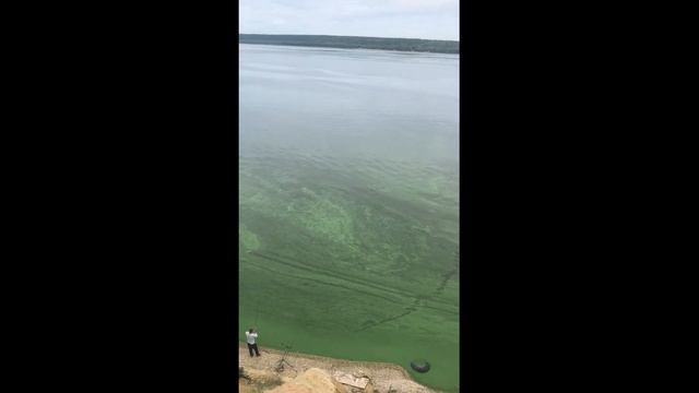 Правый берег Волги, Сазан и разогнутый крючок. смотреть онлайн