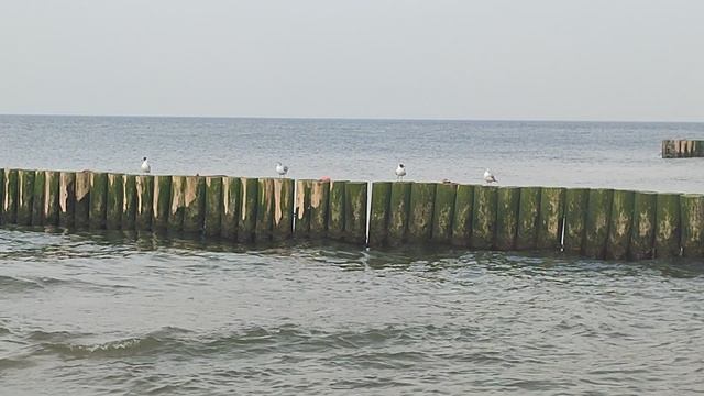 Балтийское море