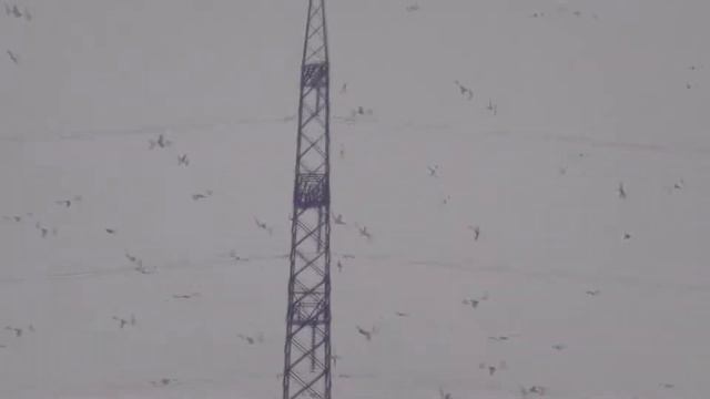 Дорога на дачу 04/01/15 смотреть онлайн