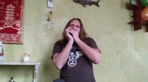Губная гармошка С, "Train blues"