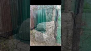 Работы из арт-бетона | Ванна из арт-бетона | Туалет из арт-бетона | Арт бетон