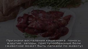 Болезни печени у кроликов, причины возникновения, признаки и лечение