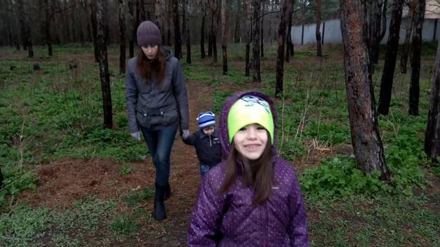 Лес в 4К (2017) Xiaomi RedMi Note 4X 19 апреля 2017 г. смотреть онлайн