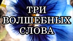 3 ВОЛШЕБНЫХ СЛОВА, МАГИЧЕСКИ ИЗМЕНЯЮЩИЕ НАШУ ЖИЗНЬ.mp4