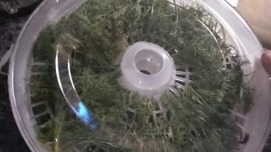 Обзор электрической сушилки для овощей и фруктов GL-FD-01R