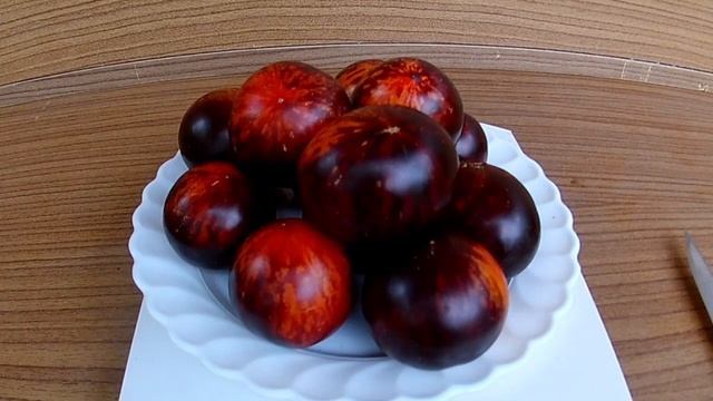 Томат. Полосатый Анто (Striped Antho)