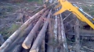 ?Ерцево погрузка леса на лесовоз, #ерцево #лес #лесовоз #трактор #т4