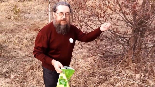 Ольха - скорее собирать смотреть онлайн