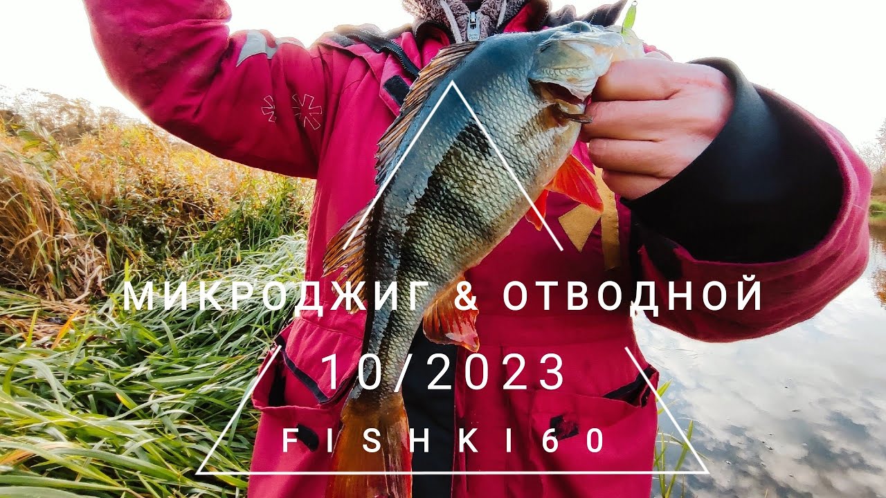 ПОЙМАЛИ СОТНЮ ЩУК И ОКУНЕЙ! Битва микроджиг против отводного! смотреть онлайн