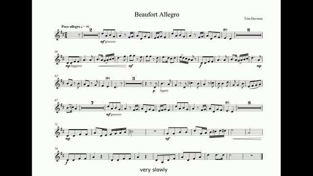 Davoren - beaufort allegro.mp4