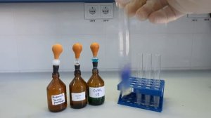 Биуретовая реакция