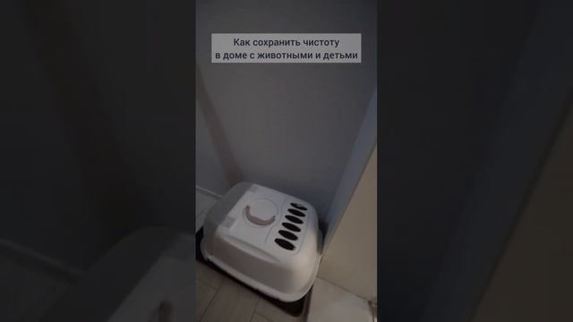 Чистота в доме с животными и детьми ? Двушка ? #shorts смотреть онлайн
