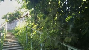 Путешествие в Брянск Храм Тихвинской иконы Божией Матери