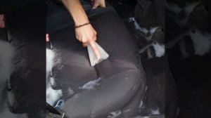 Химчистка своими руками за копейки