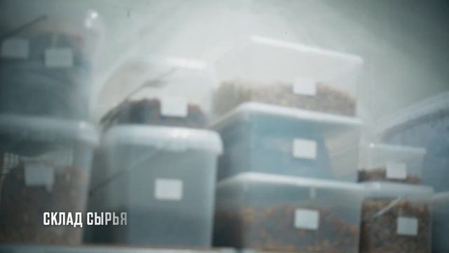 Восхитительные украшения из серебра и золота с янтарем! Ювелирная студия Darvin Jewelry! смотреть онлайн