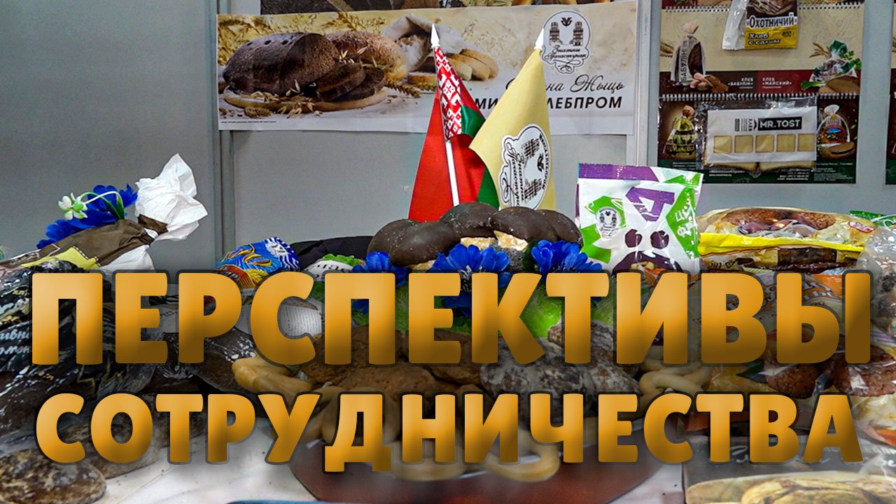 Белорусский бизнес расширяет контакты с партнёрами из Омска