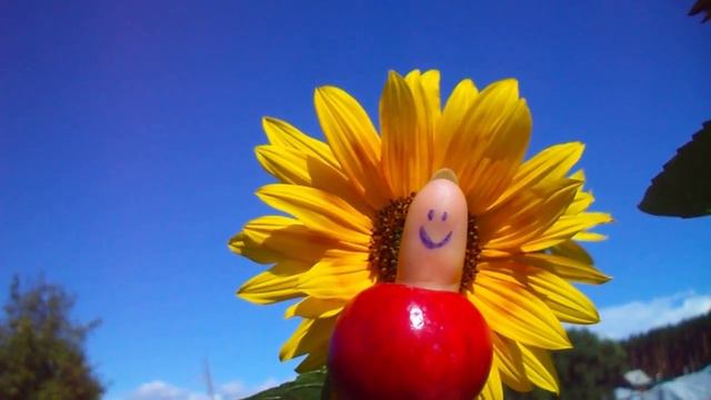 привет смотреть онлайн