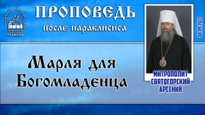 Проповедь митрополита Арсения после параклисиса 04.09.2022 г.