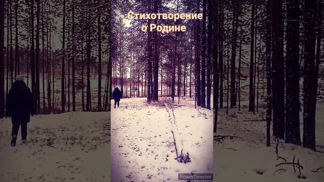 стихи до глубины души. О Родине #родники