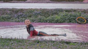 Купается в луже 2