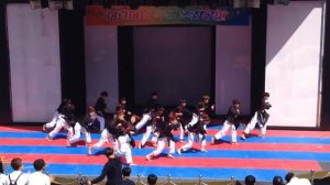 Танцы в стиле тхэквондо. ТАКОГО ВЫ ЕЩЕ НЕ ВИДЕЛИ. СМОТРЕТЬ ДО КОНЦА!!!