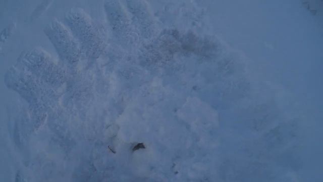 ЛОВЛЯ ЩУКИ НА "ПОСТАВУШКИ" ДЕКАБРЬ 2021 смотреть онлайн