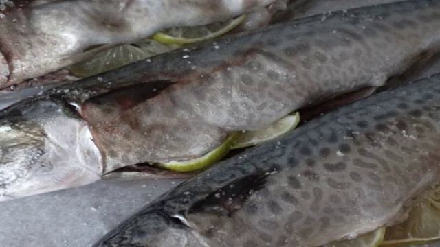 Скумбрия запеченная с лаймом и базиликом