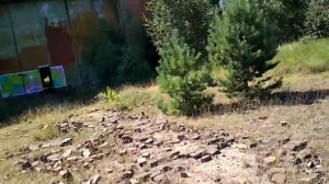 витшток гарнизон 1.08.2017 -4