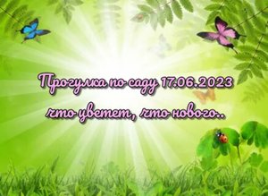 Прогулка по саду 17.06.2023