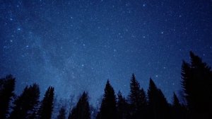 Flaviu Costin THE WOLF SONG   Nordic Lullaby [Vargsången] ( Jonna Jinton) VIOLIN COVER