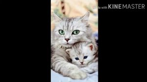 Музыка милая милая девушка красивая