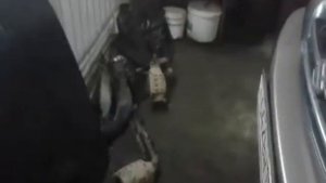 Раскидали двигатель по болтикам. Капиталка H25A Suzuki Grand Vitara