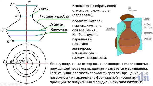 1.3 ПОВЕРХНОСТИ ВРАЩЕНИЯ