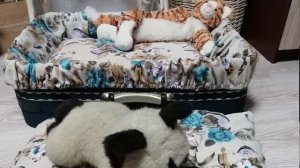 Вторая жизнь ненужных вещей!