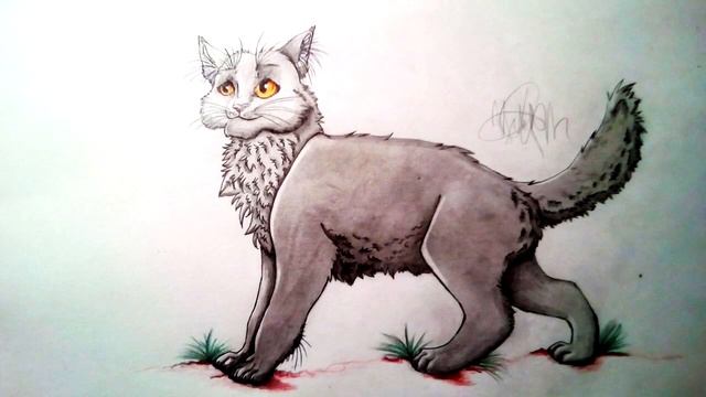 КОТЫ ВОИТЕЛИ | ИНТЕРАКТИВ - 19. Игра "КАРТИНКИ" смотреть онлайн