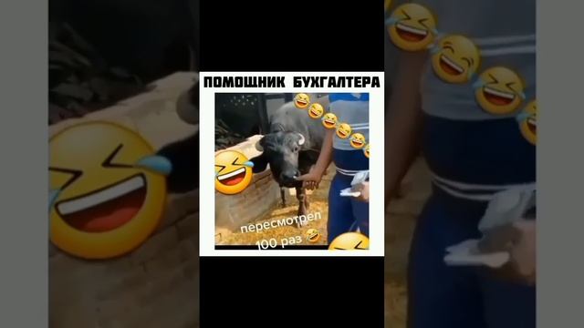 прикол