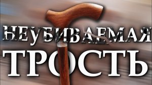 Прочная красивая трость | Африканец