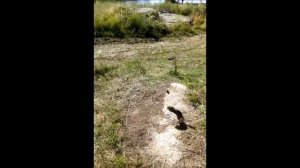 Отдых на Бухтарме 2016г