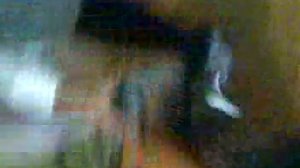 Аристотель деревенский мастер по энергии