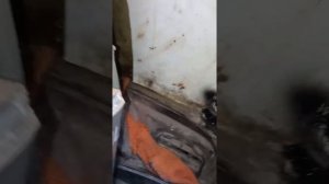 вода в багажнику ланос сенс