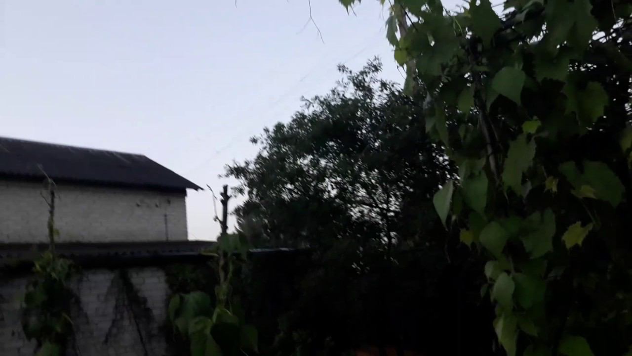 Утки улетают 16.07.2017 - не дождались лета смотреть онлайн